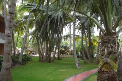 grand-palladium-palace-bungalows_3488